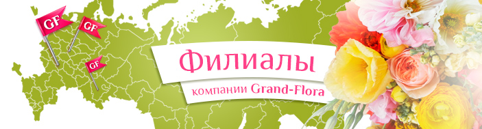 Филиалы